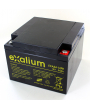 Batteria 12V 24Ah it (166 x 175 x 125) EXALIUM (EXA24 - 12FR )