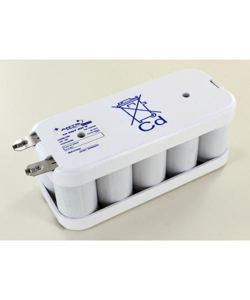 Batterie ni-cd 12V 4Ah D (168X71X67) 124970 