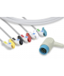 Cable IEC monobloc 5 branches à pince pour LP12 PHYSIOCONTROL