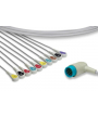 Cable IEC monobloc 10 branches à pression pour LP12 PHYSIOCONTROL