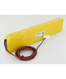 Batterie 36V pour porte automatique Waldoor Unidrive Kone