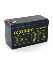 Batterie Plomb 12V 36W/Cell/10min (151x65x94) EXALIUM (EXA1236W)