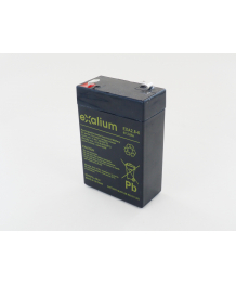 Batteria 6V 2,8Ah per monitore 9301 CAS MEDICAL