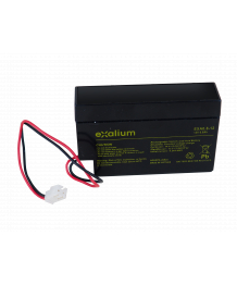 Batteria 12V 0,8Ah per ECG Start 100 COLSON