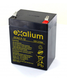 Battery 12V 2,9Ah for patient lifter Saxo 5460 FRANCE REVAL
