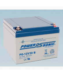 Batterie Plomb 12V 30Ah (165x175x125) (PG12V30)