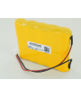 Batteria 12V 1,8Ah per defibrillatore Lifepak 6 PHYSIOCONTROL