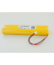 Batterie 7.2V 2.1Ah pour éthylotest SERES