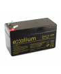 Carton 20 Batteries 12V 1.2Ah FR (EXA1.2-12FR)