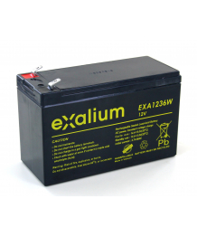 Cartone 5 batteria 12V 9Ah EXALIUM EXA1236W