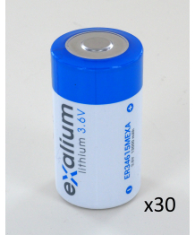 Pile lithium D 3.6V 13Ah EXALIUM - plateau de 30 (ER34615MEXA-PL30)