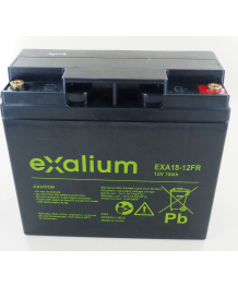 Batteria Piombo 12V 18Ah EXALIUM (181X76X167) M5 (EXA18-12FR) 