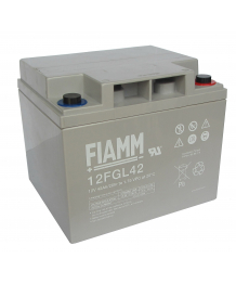 Batterie Plomb 12V 42Ah Fiamm (197X166X173) M6 (12FGL42) 