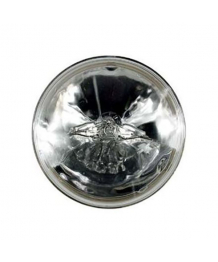 Lampe Incandescence 250W 9.33A SCREW TERMINAL TUNGSRAM (93106415) 