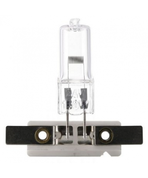 Lampadine Alogena 12V 50W PY24-1.5 (55205) 