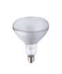 Lampe Incandescence 220V 500W E27 3200K (PF318 BM) 
