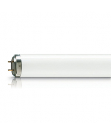 Lampe Fluorescente 110V 80W G13 PHILIPS (8010R-9280059010)