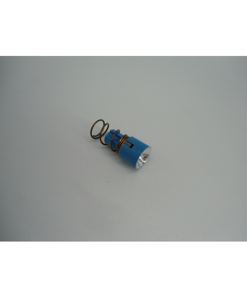 Lamp Incandescence diagnosis (30857) 