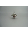 Lampe Halogène 24V 1.4A P45T (0772/L5) 