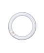 Tubo fluorescente 22W G10Q 4000K OSRAM (L22840C) 