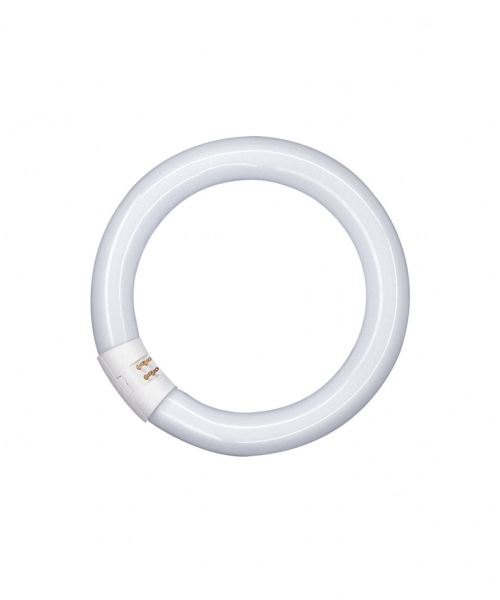 Tubo fluorescente 22W G10Q 4000K OSRAM (L22840C) 