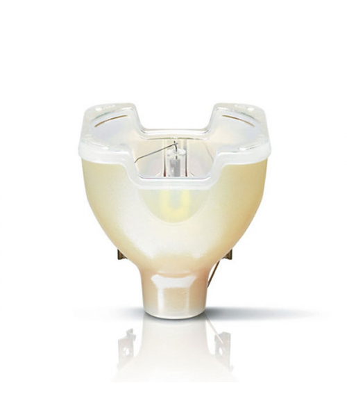 Lampe A décharge 300W 8000K PHILIPS (PMSD15R-92819160) 