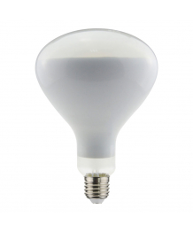Lámpara LED 250W E27 PHILIPS (WLD501152D) 