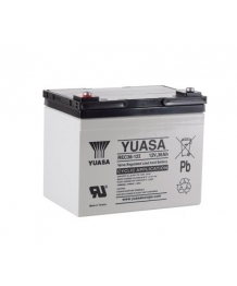 Batterie plomb 12V 36Ah (195x130x169) cyclique Yuasa (REC36-12) (REC36-12I)