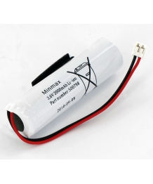 Batterie alarme 3.6V 2Ah Daitem (951-21X)