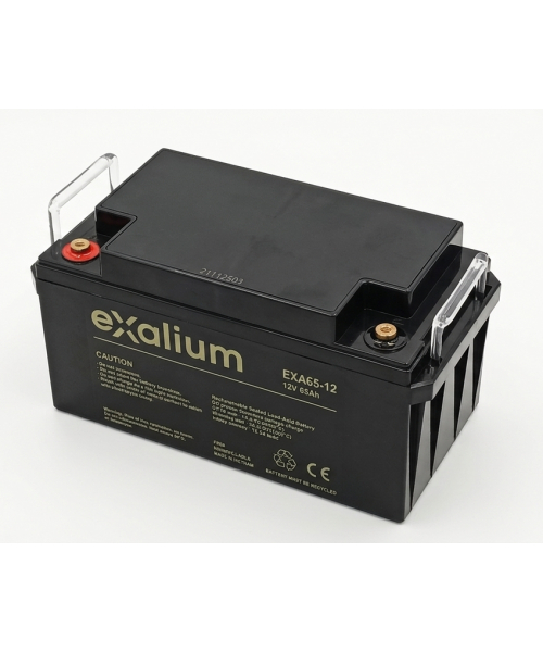 Batería Plomo 12V 65Ah EXALIUM (350X166X174) M6 (EXA65-12) 