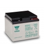 Batterie Plomb 12V 24Ah (166x175x125) Yuasa (NPL24-12I)
