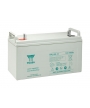Piombo 12V 100Ah (407x172.5x241) Batteria Yuasa