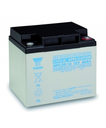 Batterie Plomb 12V 38Ah (197x165x170) Cyclique Yuasa (NPC38-12)