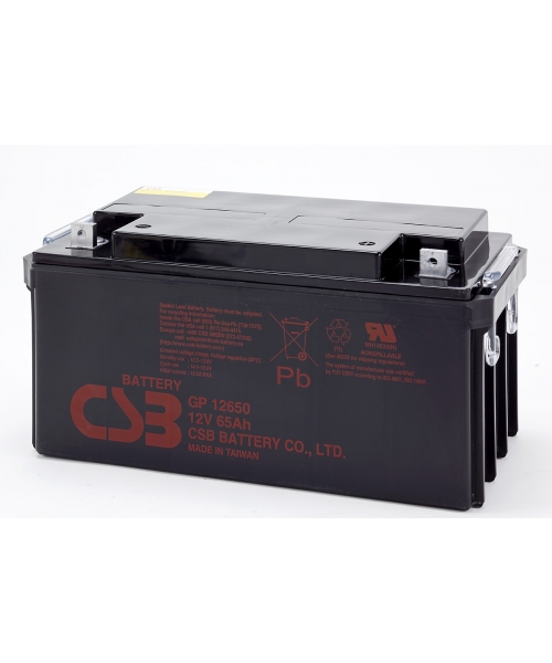 Batterie 12V 65Ah CSB (GP12650i)
