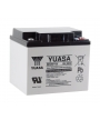 Batería Plomo 12V 50Ah Yuasa (197X165X175) M5 (REC50-12I) 