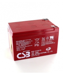 12V 15Ah (151 x 98 x 100) batteria CSB