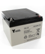 Batterie Plomb 12V 24Ah (166x175x125) Yuasa (Y24-12I)