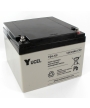 Batterie Plomb 12V 24Ah Yuasa (166X175X125) (Y2412)