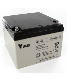Batterie Plomb 12V 24Ah (166x175x125) Yuasa (Y24-12I)