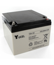 Battery Lead 12V 24Ah Yuasa (166X175X125) (Y2412)
