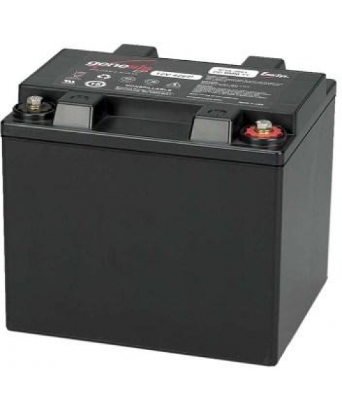 Batterie 12V 42Ah (lot de 2) pour couveuse Shuttle GE HEALTHCARE