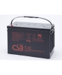 Battery Lead 12V 100Ah Csb (343X170X217) (GP121000) 