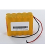 Batterie 12V 3.8Ah pour appareil de mesure de temps de réaction TR2000 Sodi Scientifica