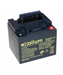 Batteria 12V 50Ah (198 x 166 x 171) EXALIUM (EXAC50 - 12)