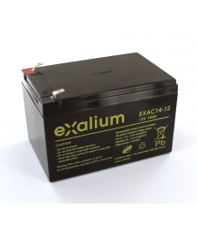 Battery 12V 14Ah for scooter HUMMINGBIRD INVACARE