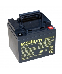 Batteria 12V 50Ah per sediaelectrique C300 PERMOBIL (REC50 - 12I)