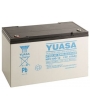 Batterie Plomb 12V 100Ah Yuasa (350X168X225) M8 (NPC100-12) 