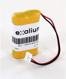 Battery lithium 6V 2Ah for alarm Cesar Label vlad