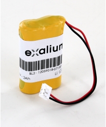 Pile lithium 6V 2Ah pour Alarme Cesar Label (BL2)