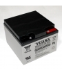 Lead 12V 24Ah (166 x 175 x 125) cyclical Yuasa battery